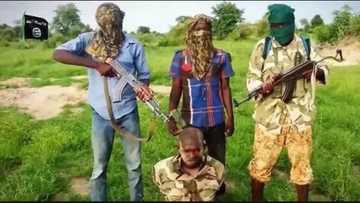 BREAKING: Boko Haram releases new video taunts special forces