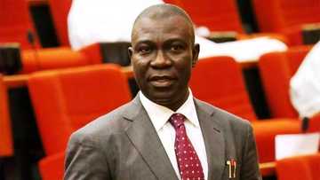 Why presidential panel lacks power to seize my assets - Ike Ekweremadu