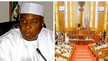 Save us from hunger caused by delayed salary, NNPC contract staff write open letter to Senate