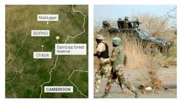 How safe is Sambisa forest now? Check details