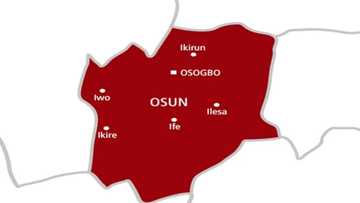 What is the number of local governments in Osun State?