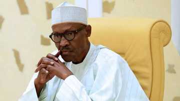 OPINION: How Nigerian youths can prove President Buhari wrong over "lazy" comment