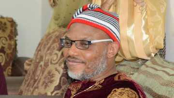 Anybody who says Biafra will not come, will die, Nnamdi Kanu prophesies as he addresses HUGE crowd