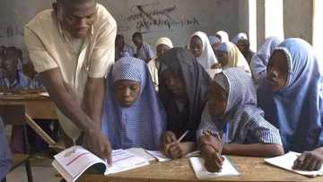 Dalilin da yasa nayi lalata da yarinya yar wata 7 - Magaji Dansale