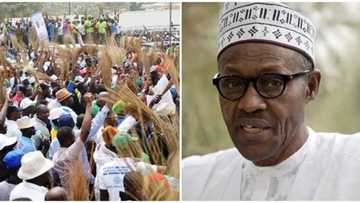 Jigawa APC assures President Buhari of 2 million votes in 2019