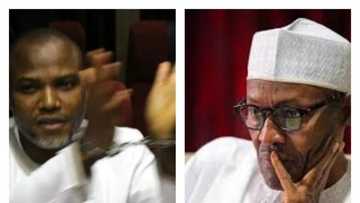 It will be a tragic mistake to treat Nnamdi Kanu like a common criminal - Col. Umar sends message to Buhari