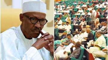 Da Duminsa: Ka gaggauta ayyana yan fashin daji a matsayin yan ta'adda, Majalisar wakilai ga Shugaba Buhari