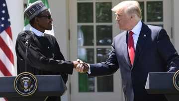 Buhari ya fada babban aiki guda da Turai da Amurka za su yi domin tallafawa Afirka
