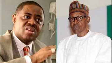 Fani-Kayode reveals what he alleged as 'top secret' about President Buhari