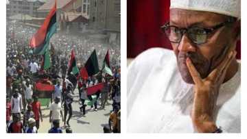 Biafra: Presidency expresses fear over threats from IPOB, MASSOB