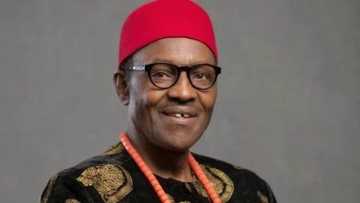 Buhari failed to see anything wrong with Arewa youths’ threat to Igbos - Ozekhome