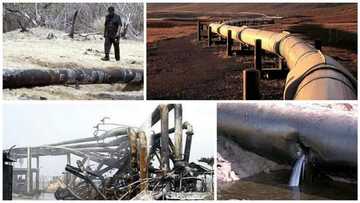 Bye-bye to petrol – Good news as NNPC plans to replace fuel with natural gas for Nigerians