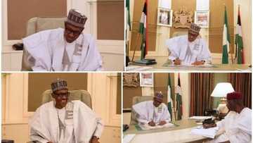 UPDATED: Buhari resumes work, notifies National Assembly (photos)