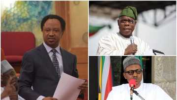 APC senator backs Obasanjo, asks Buhari to obey former president’s advice