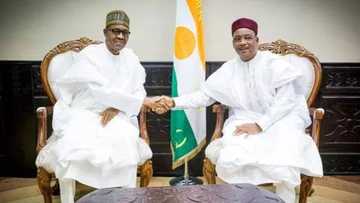 PHOTOS: President Buhari's Trip To Niger Republic