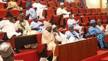 Bayyana albashin Sanatoci: Zamu yi maganin Shehu Sani - Sanatoci