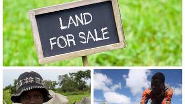 Advantages and disadvantages of Land Use Decree in Nigeria