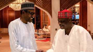 2019: Yadda fitar Kwankwaso daga APC ta girgiza jihar Kano