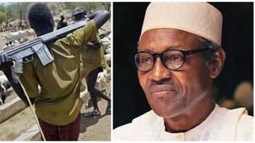 Why Buhari will not talk about killings in southern Kaduna – Presidency