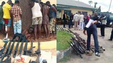 700 suspected cultists, 38 armed bandits arrested in Anambra