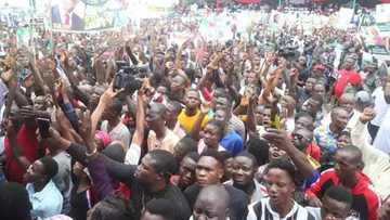 Akalla mutum 30 'yan PDP ne suka rasu a hadurruka daban-daban a yau