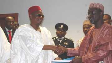 Ba kada Ganduje ne a gabanmu ni da Kwankwaso ba – Shekarau