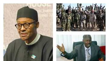 'Buhari’s justification for Boko Haram’s defeat is meaningless when economy is sick'