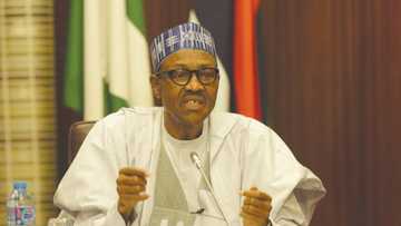 President Buhari needs special prayers - Popular prophetess