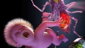 Kimiyya: Sauro da Kuda: Wanne yafi cutar da jama'a?