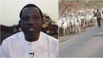Breaking: Governor Lalong denies alleged secret deal with herdsmen, rejects cattle colonies in Plateau state