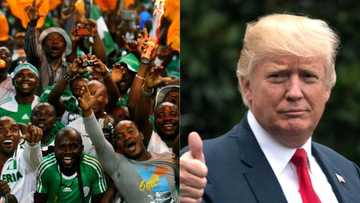 Report shows Nigeria has 5th highest share of Trump followers on Twitter