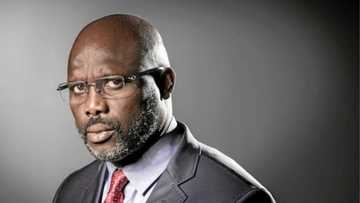 Tamkar Buhari da 'Beraye: Macizai sun fatattaki shugaban kasar Liberia daga ofishin sa