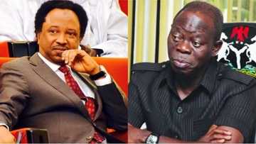 Tinubu's attempts to reconcile members of APC was simply naturalised, abandoned - Shehu Sani opens up