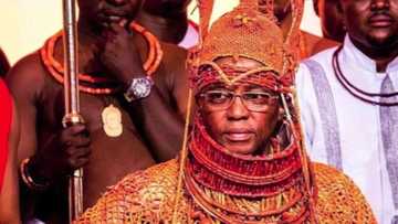 Bandits, criminal herdsmen hiding in Edo forests - Oba of Benin raises alarm
