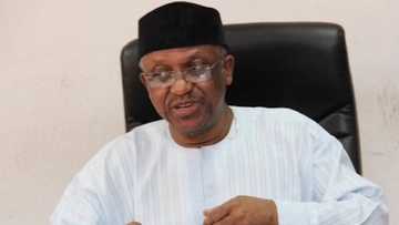 Babbar Magana: Mata Masu Juna Biyu 302,950 Suke Mutuwa Duk Shekara a Najeriya, Inji FG