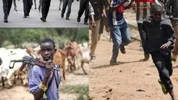 Delta state police change tactics, invites herdsmen for a ‘peaceful’ chat