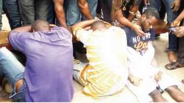 How I was tricked - 18-year-old Badoo suspect confesses