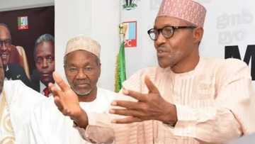 Babu wanda ya cancanci a yi murnar ranar haihuwarsa kamar Mamman Daura, inji Buhari