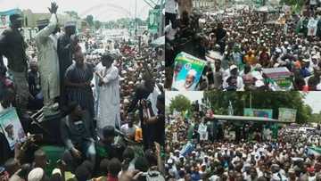 JUST IN: Thousands of Buhari's supporters storm Kano to pray for him