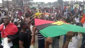 JUST IN: 16 rights group in Yorubaland back IPOB's protest for Nnamdi Kanu