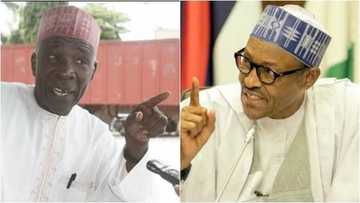 Buhari bai taba cin zabe ba – Inji Buba Galadima