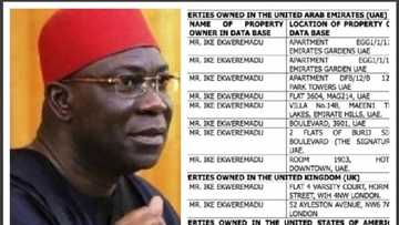 Undeclared assets: Why FG can’t freeze my 22 properties - Ekweremadu
