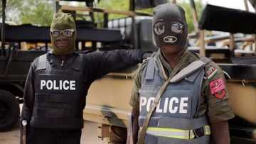 Police corporal reportedly kills sergeant over N20 in Adamawa