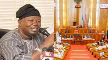 Senate begs to ASUU to call off strike