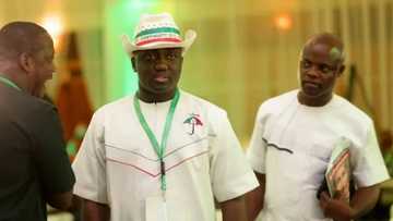 Our candidate must be prepared to be president from day one in 2019 - PDP chieftain