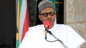 We will secure release of all abducted persons, including 110 Dapchi girls - Buhari