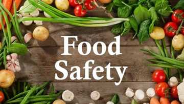 Importance of food safety, hygiene and sanitation in our life