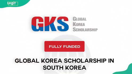 How to apply for the GKS scholarship in Nigeria? Requirements for the ...