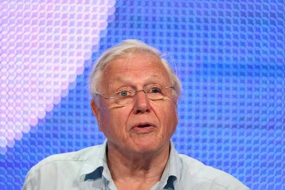 20 oldest living celebrities: famous people who are well over 90 - Legit.ng