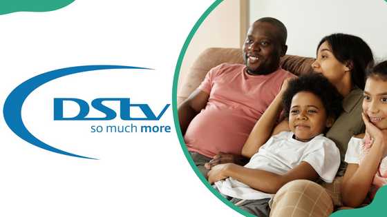DStv Compact channels and subscription price in Nigeria - Legit.ng